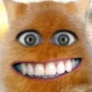 Meet your Posher, Natalia